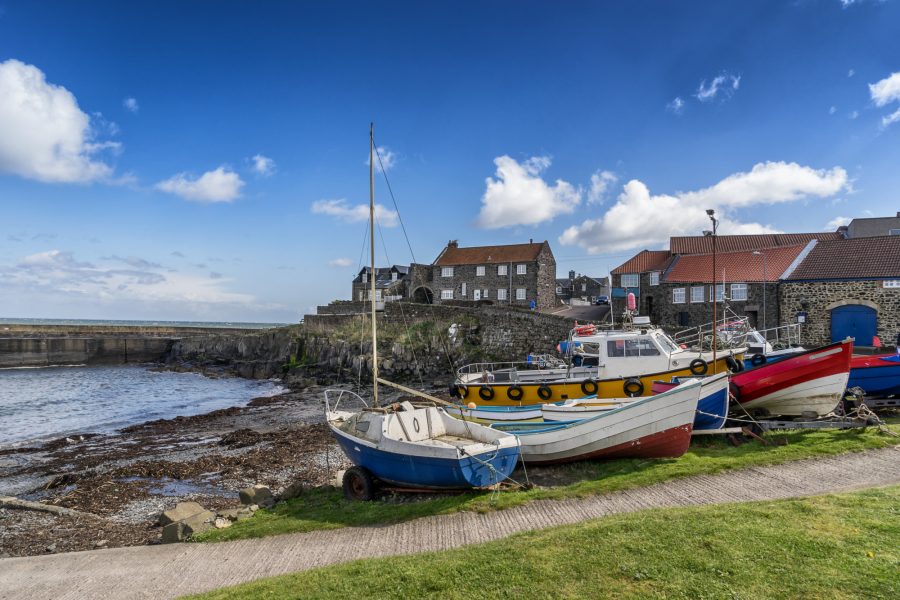 Craster